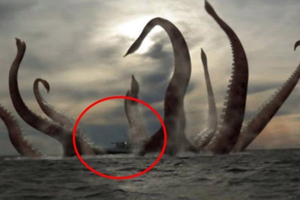Kraken актуальные ссылки официальный сайт
